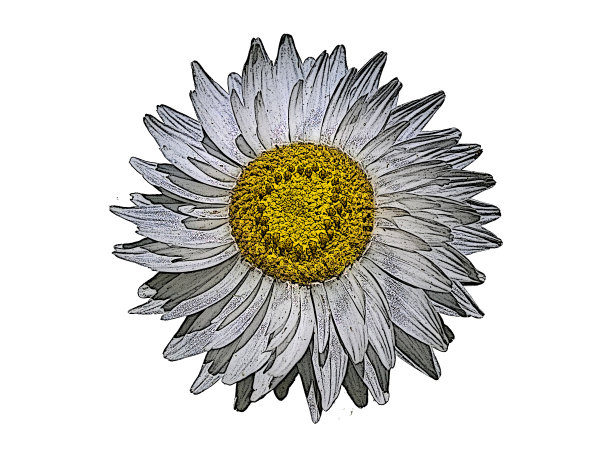 永久(干燥)图形孤立图片下载