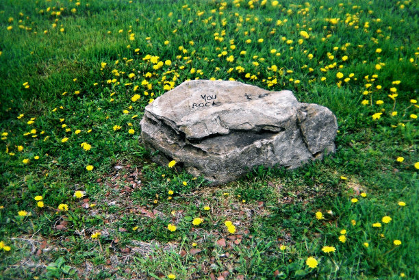 你摇滚图片下载