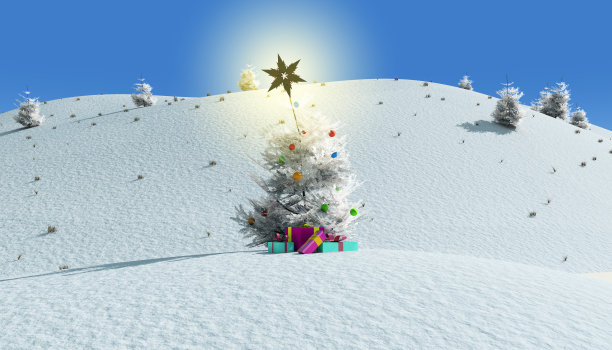 圣诞树图片下载