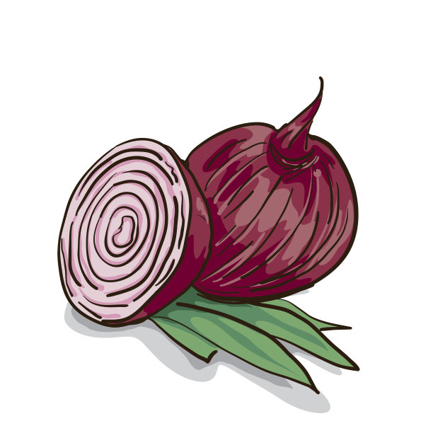 蔬菜青葱绘图图形设计图片下载