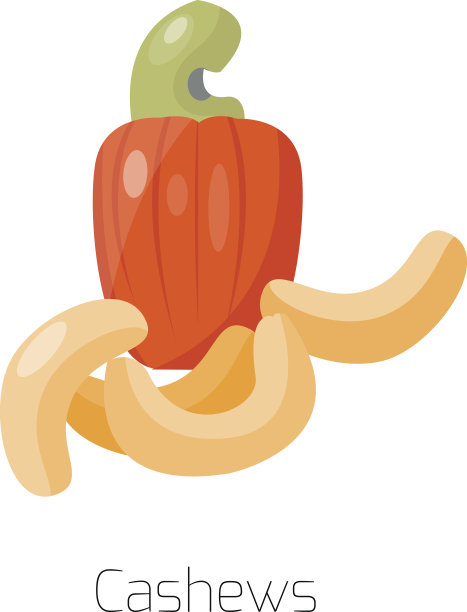 一堆坚果矢量插图腰果图片下载