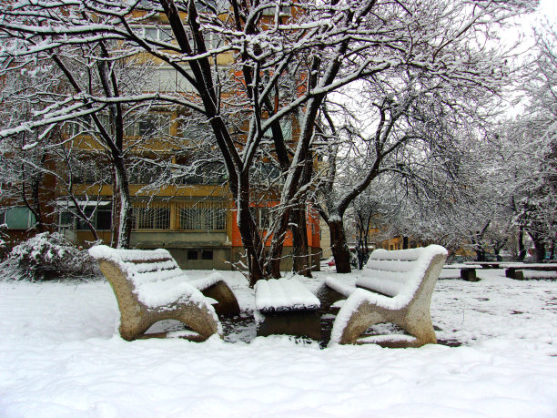 733-冬天里一对浪漫的公园长椅图片下载