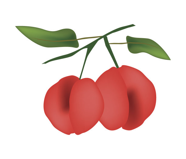 树枝上挂着两个新鲜的天使桃图片下载