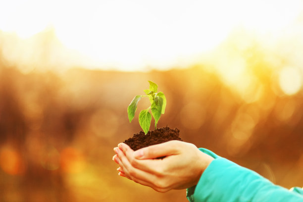 工厂关闭。图片下载