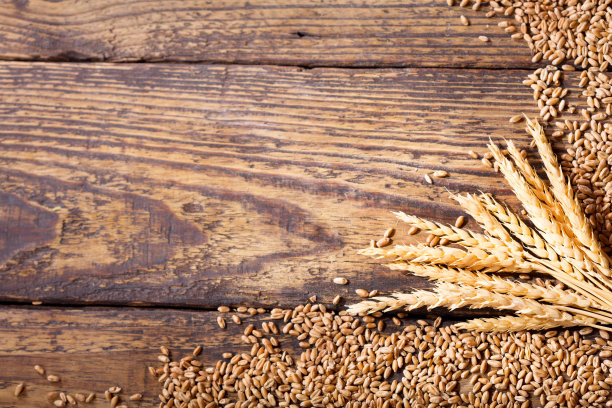 麦穗和谷粒素材图片