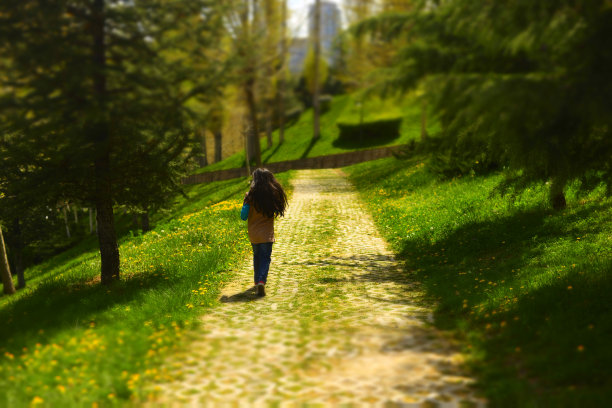 小女孩在国家公园散步图片下载