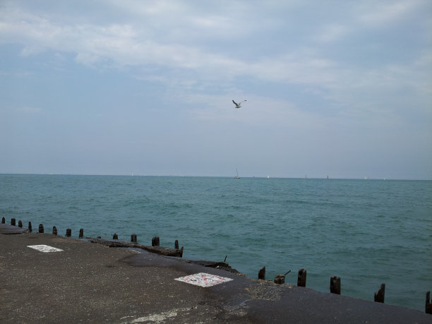 芝加哥的密歇根湖图片下载