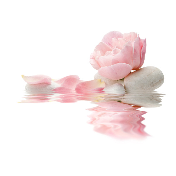 花瓣孤立于水中图片下载