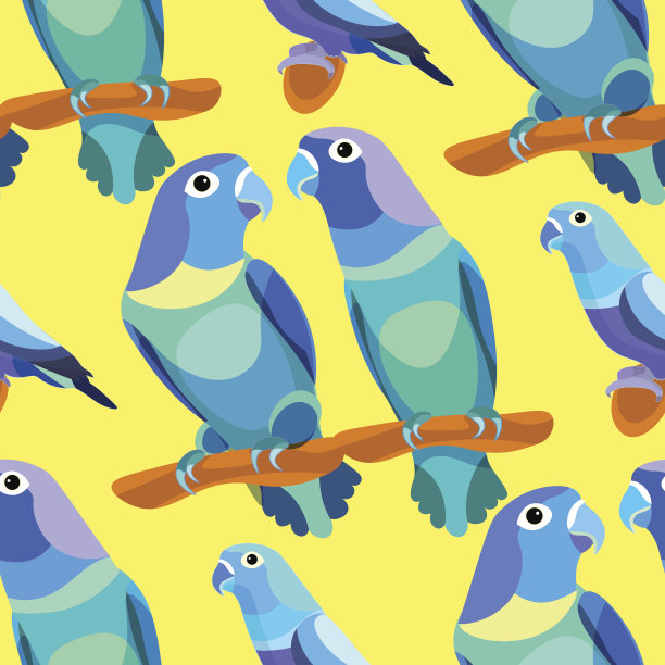 无缝图案鹦鹉情侣坐在一起头转蓝图片下载