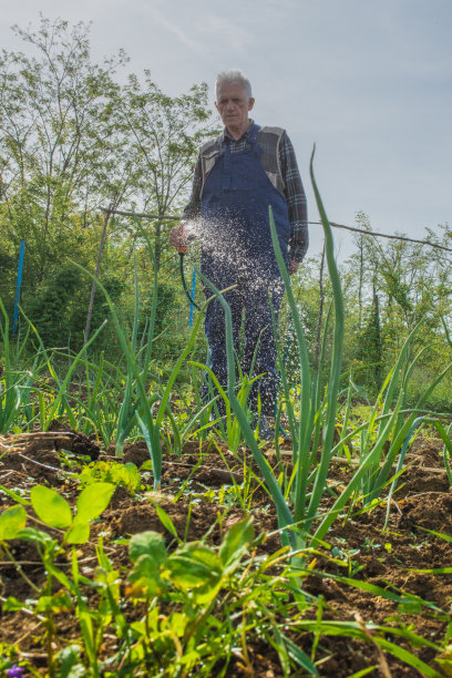 园丁灌溉庄稼图片下载