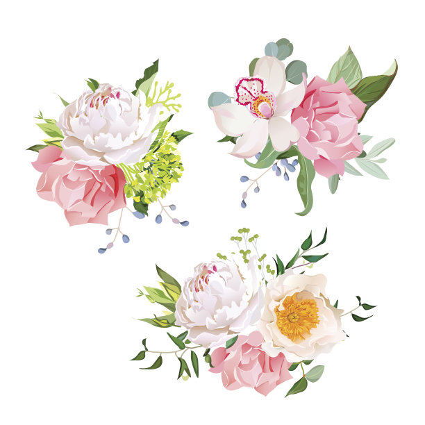 时尚的花束混合矢量设计集图片下载
