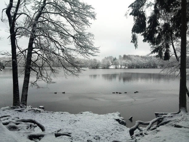 冬天的风景图片下载