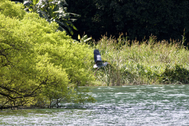 夏天木湖图片下载