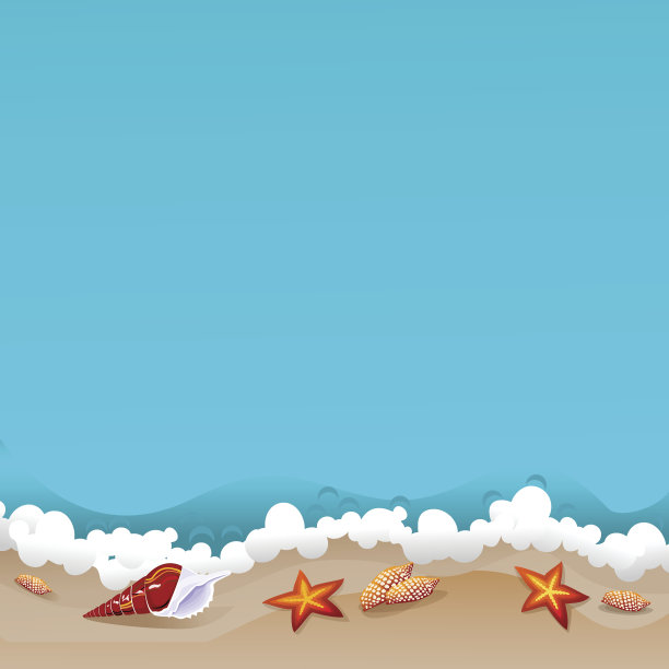 海滩上的贝壳图片下载