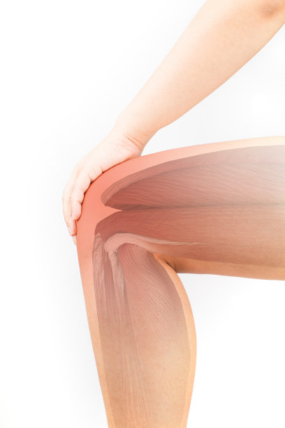 膝盖肌肉疼痛图片下载