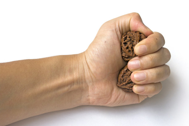 健身核桃图片下载