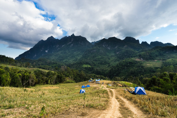 茶道山。图片下载