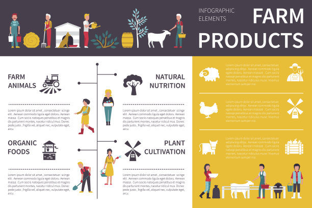 农产品信息图平面矢量插图。演示的概念图片下载