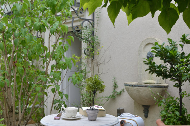 咖啡在花园图片下载