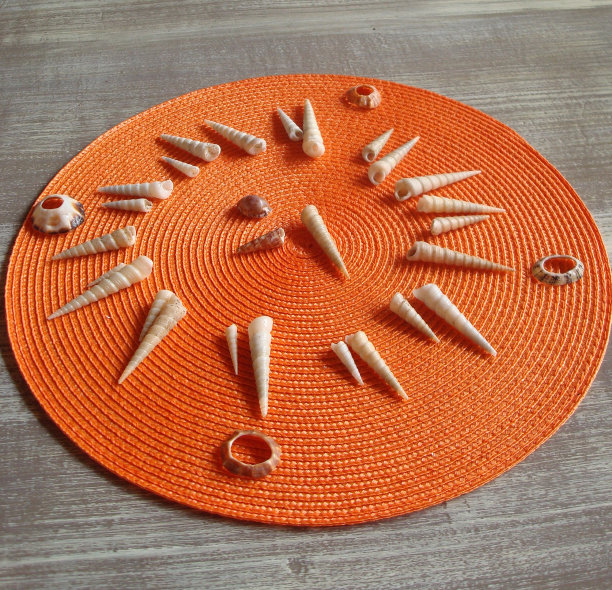 橙色餐垫上的贝壳图片下载