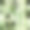 竹叶植物无缝图案。背景不图片下载