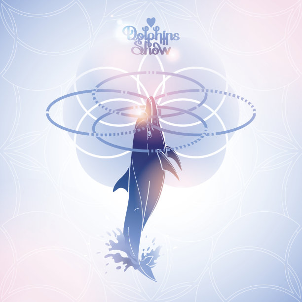 有四个圆环的海豚图片下载