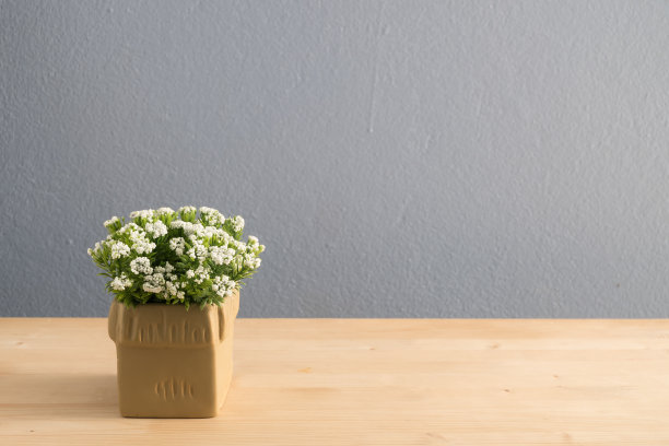 办公室桌子，花瓶上有白花图片下载