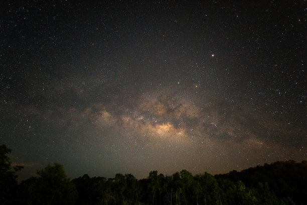 森林上空的夜空星野素材图片