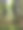 树林里的夏天图片下载