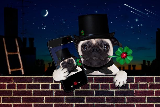 拜年狗年快乐图片下载