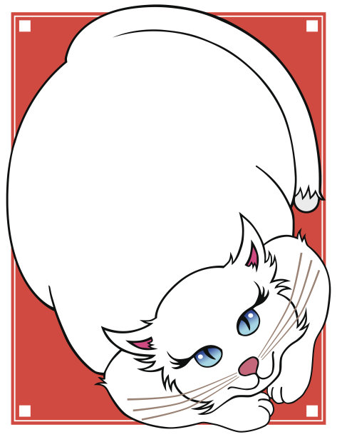 漂亮的猫图片下载