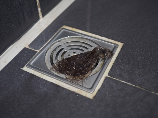 地漏上有一大堆头发图片下载