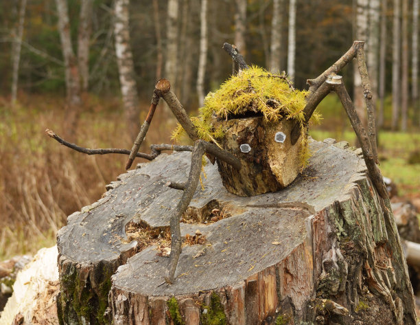 军队腰带的士兵。图片下载