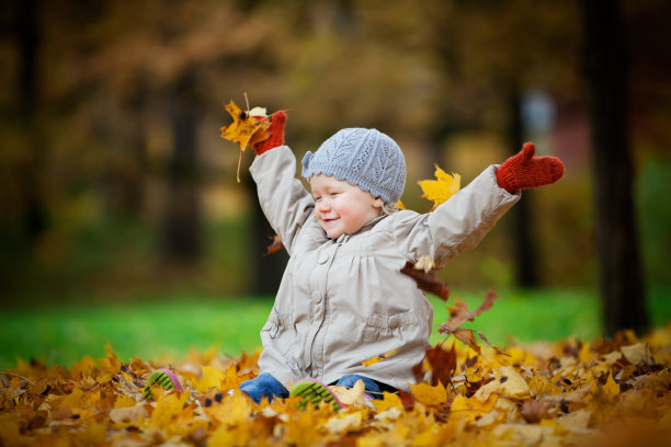 秋天的乐趣图片下载