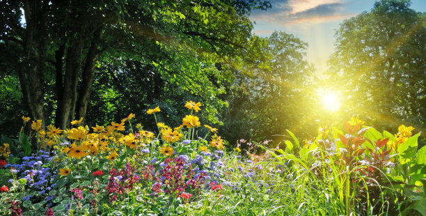 夏天的公园素材图片