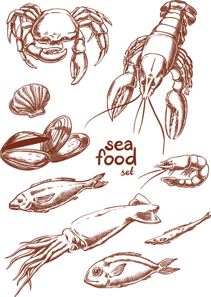 海鲜手绘套装素材图片