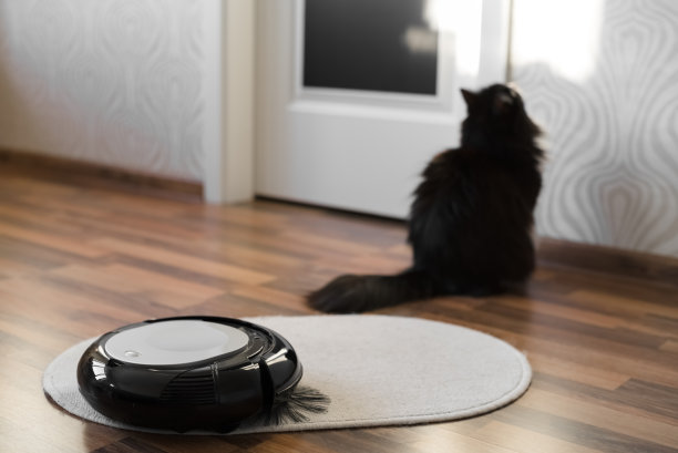 白色小地毯上的机器人吸尘器图片下载