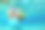 水下图片素材ID：133447900