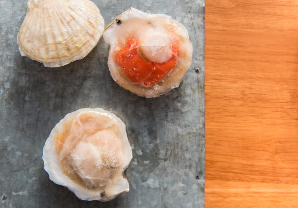 厨房里有冷冻扇贝。素材图片