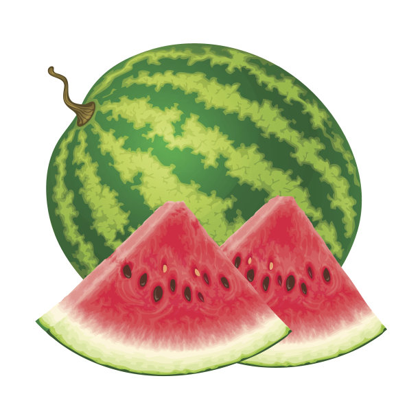 西瓜矢量图图片下载