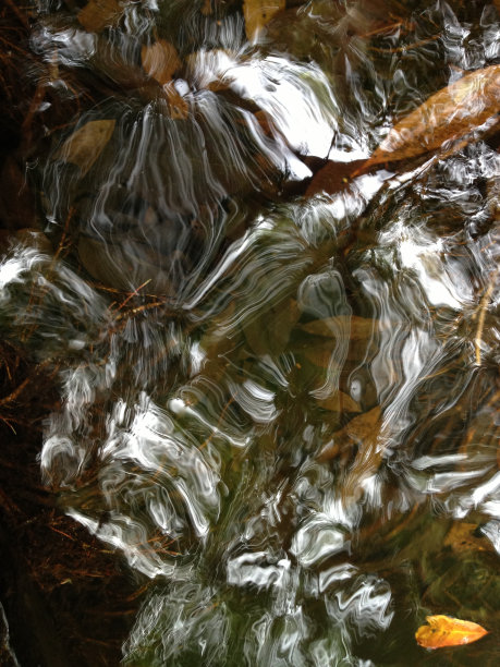 水反射1图片下载