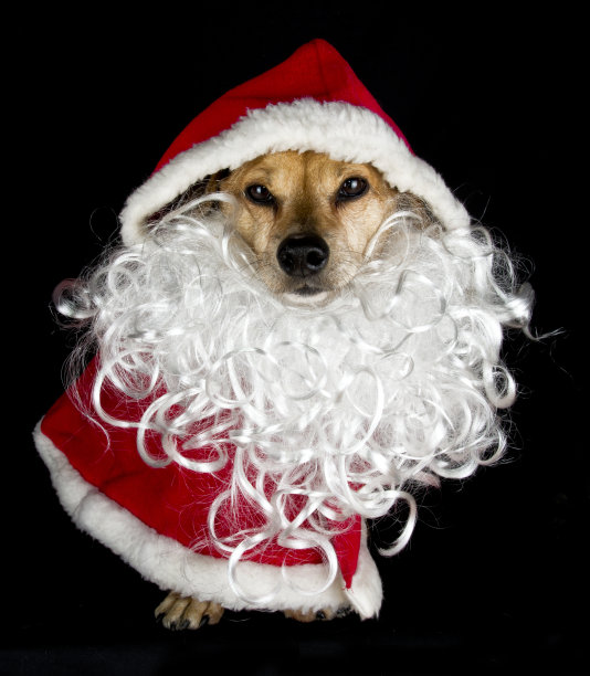 圣诞节装扮图片素材ID：133461634