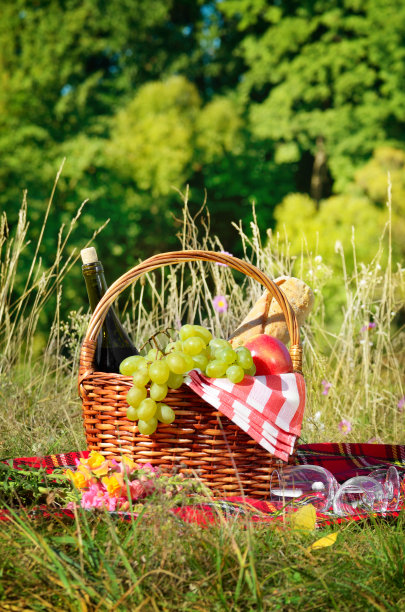 野餐篮图片下载