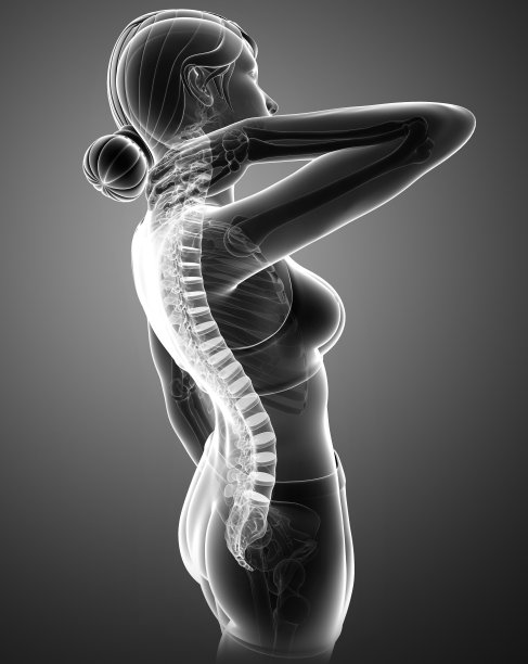 女性感到背部疼痛图片下载