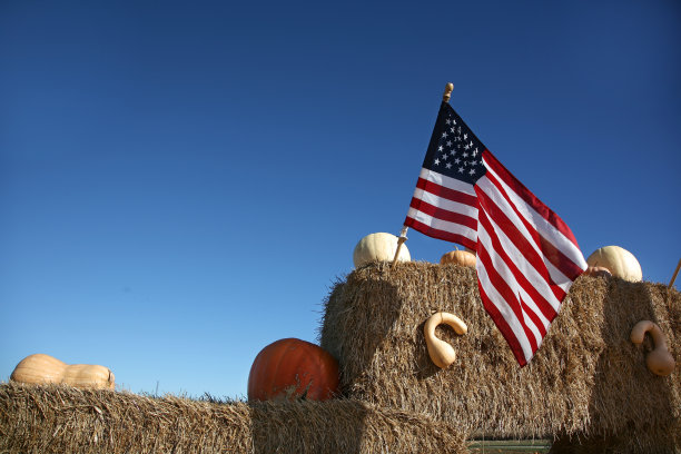 美国国旗，蓝天和干草图片下载