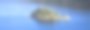 太浩湖图片下载