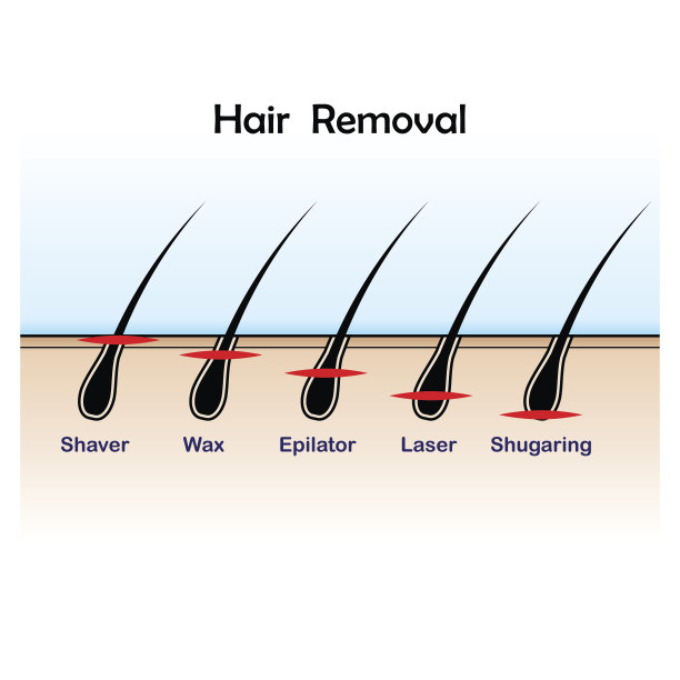 除毛的颜色素材图片