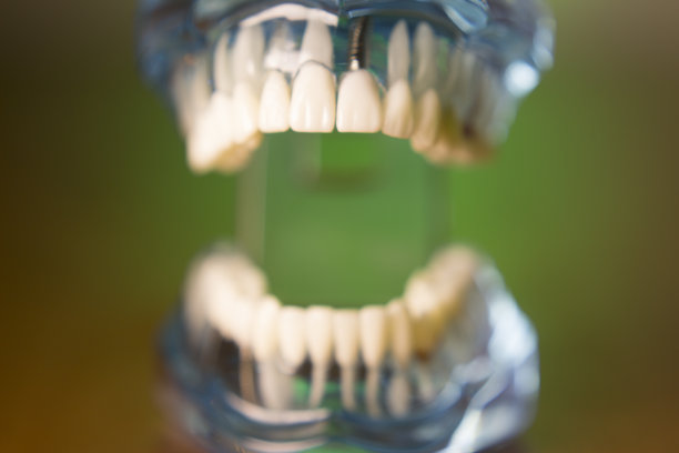 牙科学生的假牙图片下载