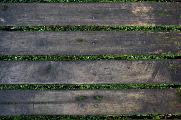 木质纹理，具有风化的外观，苍老而绿色图片下载