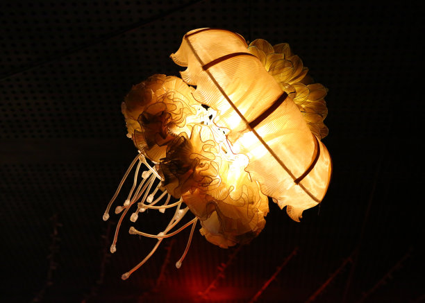 像水母一样的灯泡图片下载